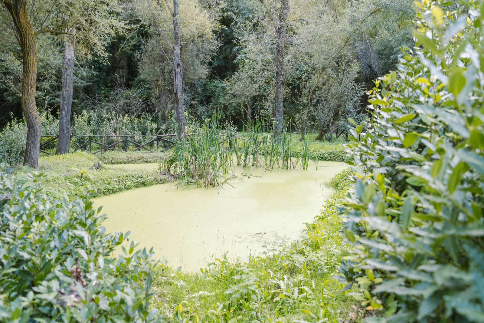 Il Bosco delle Poesie