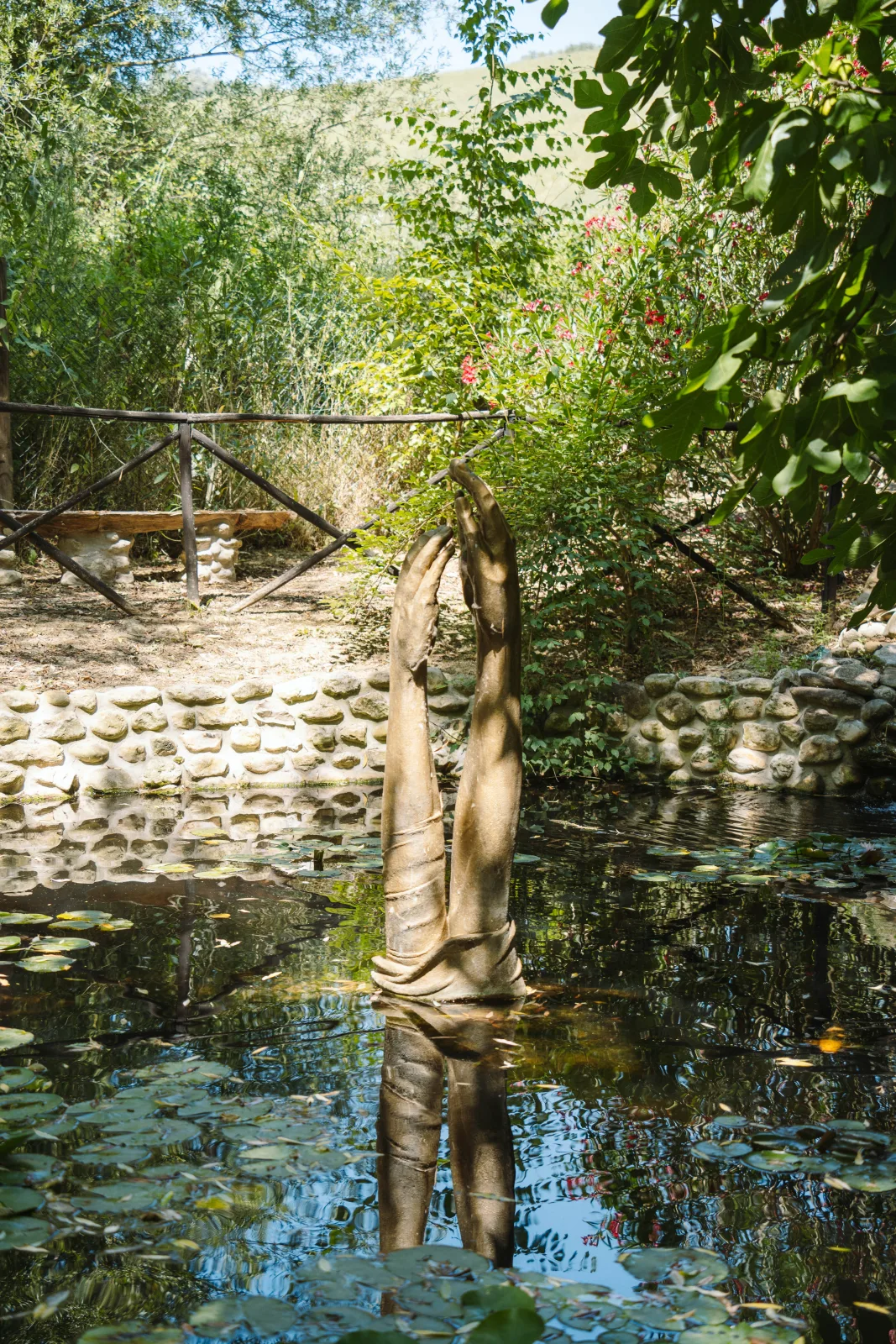 Il Lago delle Ninfee — le ninfee