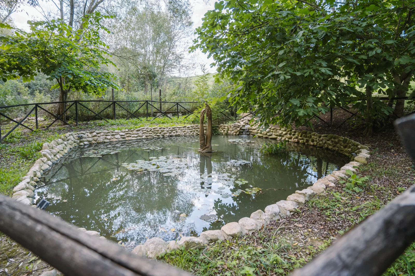 Il Lago delle Ninfee — la riva