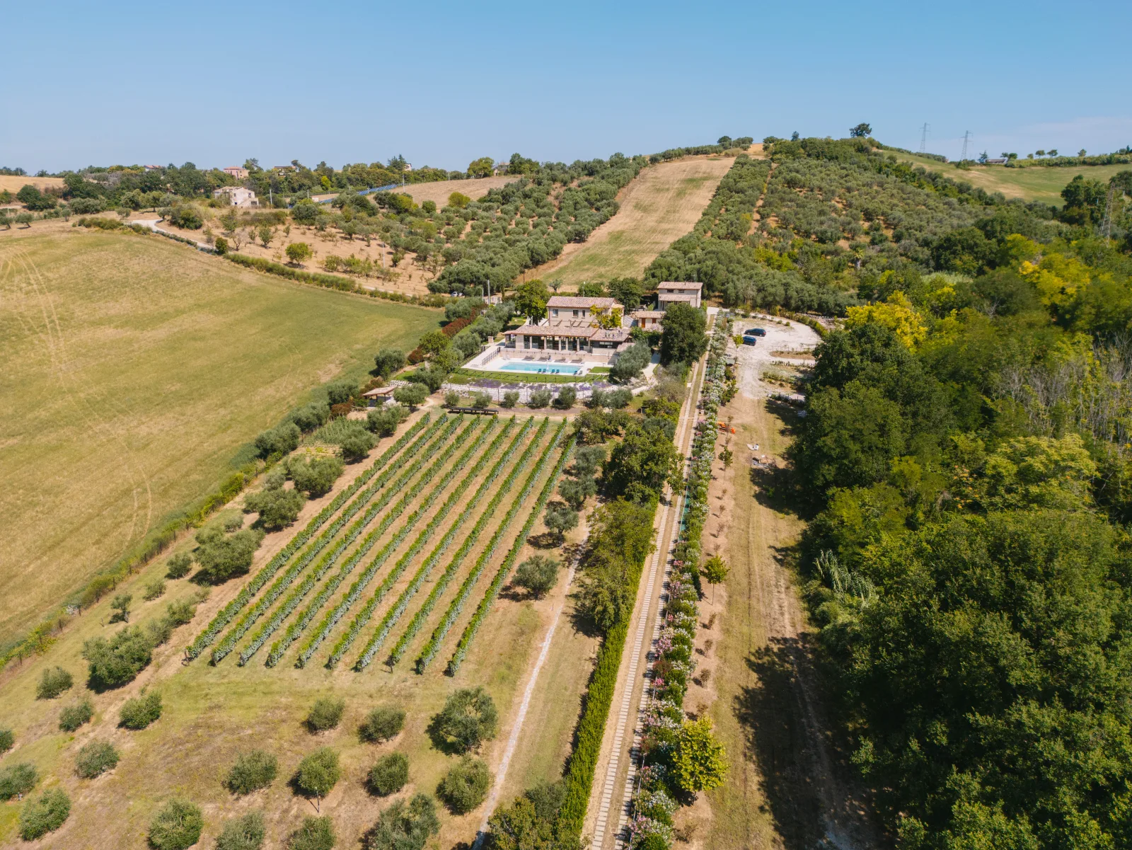 Posizione — la tenuta