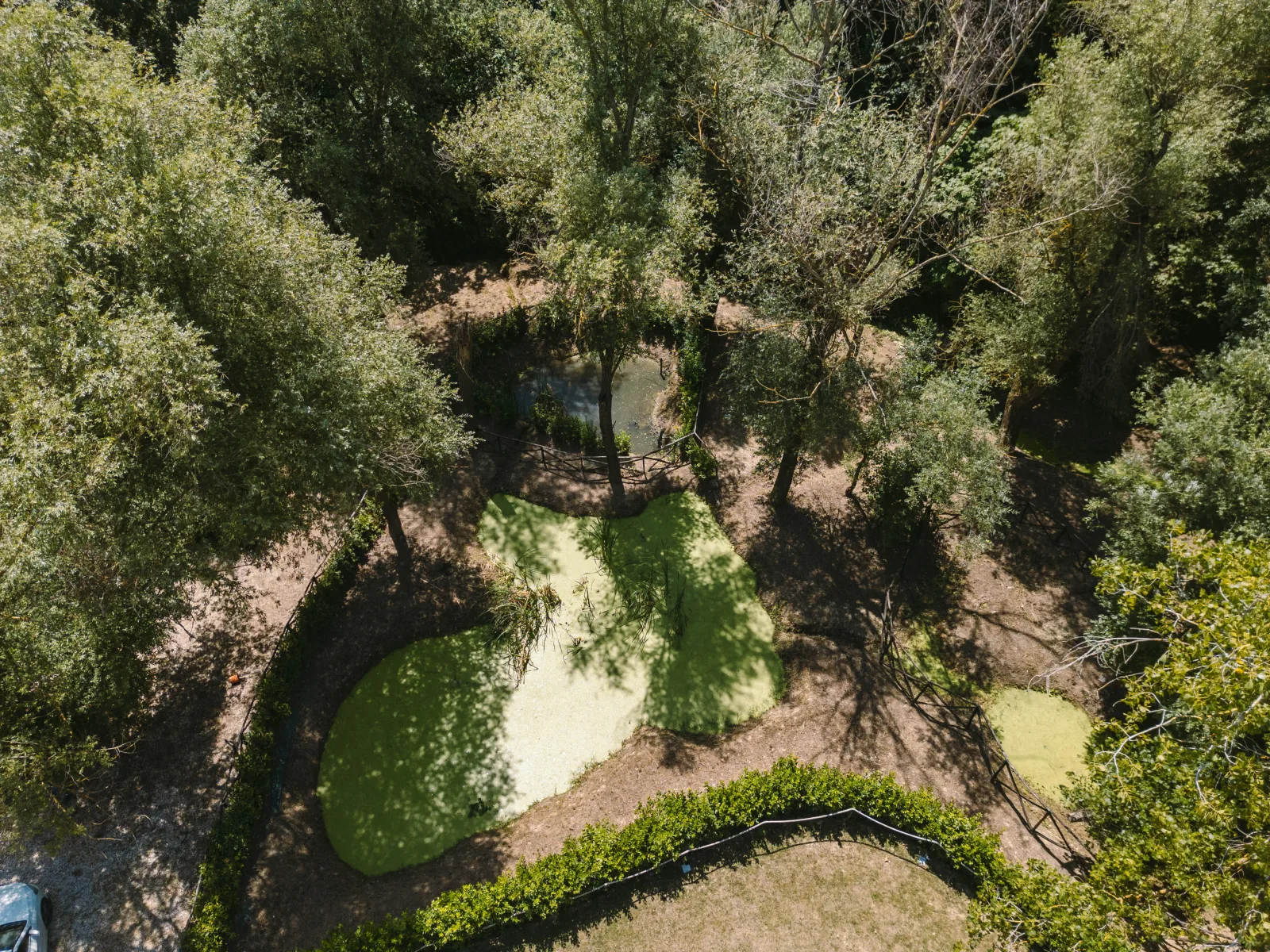 La Natura